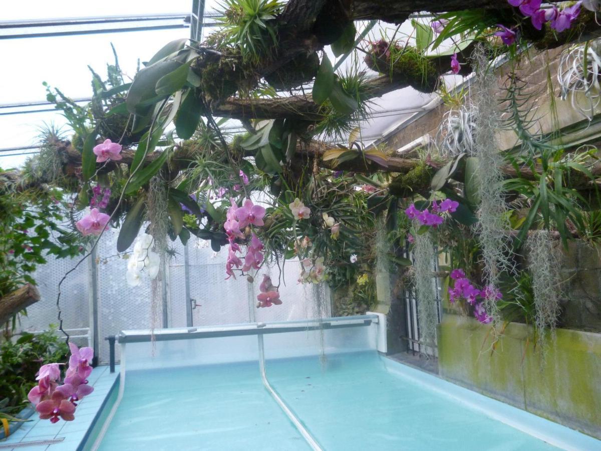 Chateau Bleu Hotel Trooz ภายนอก รูปภาพ